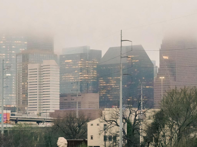 enviromental_studies enviromental_studies